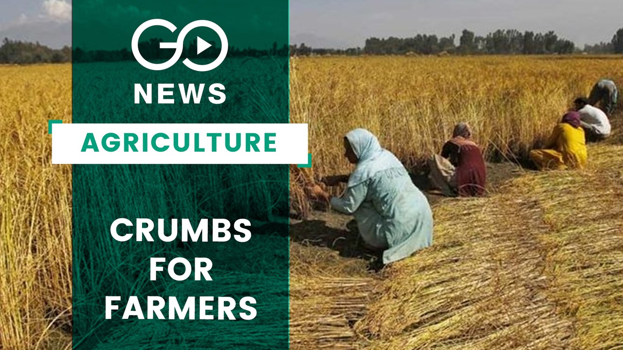 Low Yield From Farmers Scheme