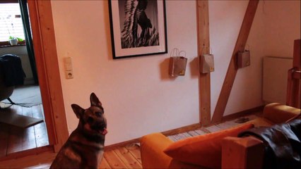 Aramis_Weihnachtskalender_Anzeige_2017_12_21-2