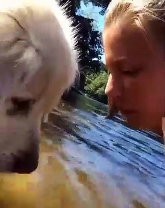 Ce chien essaye adorablement de faire des bulles dans l'eau