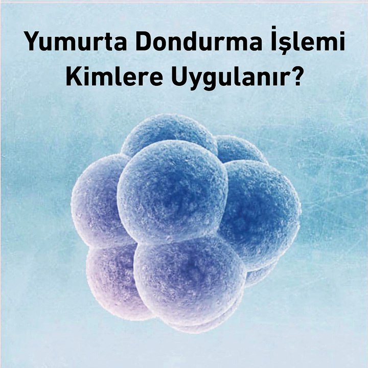 Yumurta dondurma işlemi kimlere uygulanır? - www.irfantarhan.com