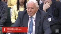 David Attenborough details most drastic effects of climate change