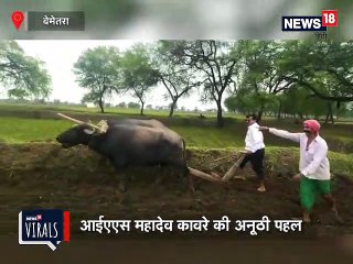 जूता-मोजा उतार खेत में उतरे कलेक्टर साहब, चलाया हल और की बुआई