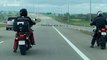 Motorists stop traffic allowing gaggle of geese to cross Canadian highway