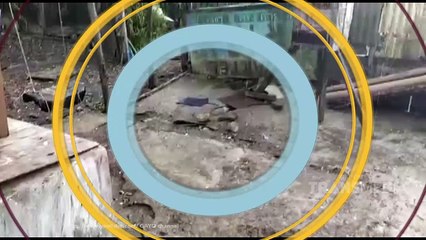 Dunia Punya Cerita - Hujan Es Ditengah Musim Kemarau