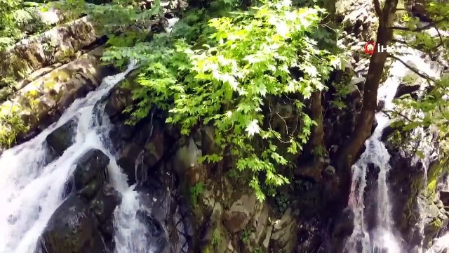 Maden Deresi ‘Nitelikli Doğal Koruma Alanı’ Oldu