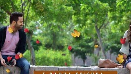 Ntr Aravind Sametha Veera Raghava Teaser Launch Date(telugu)