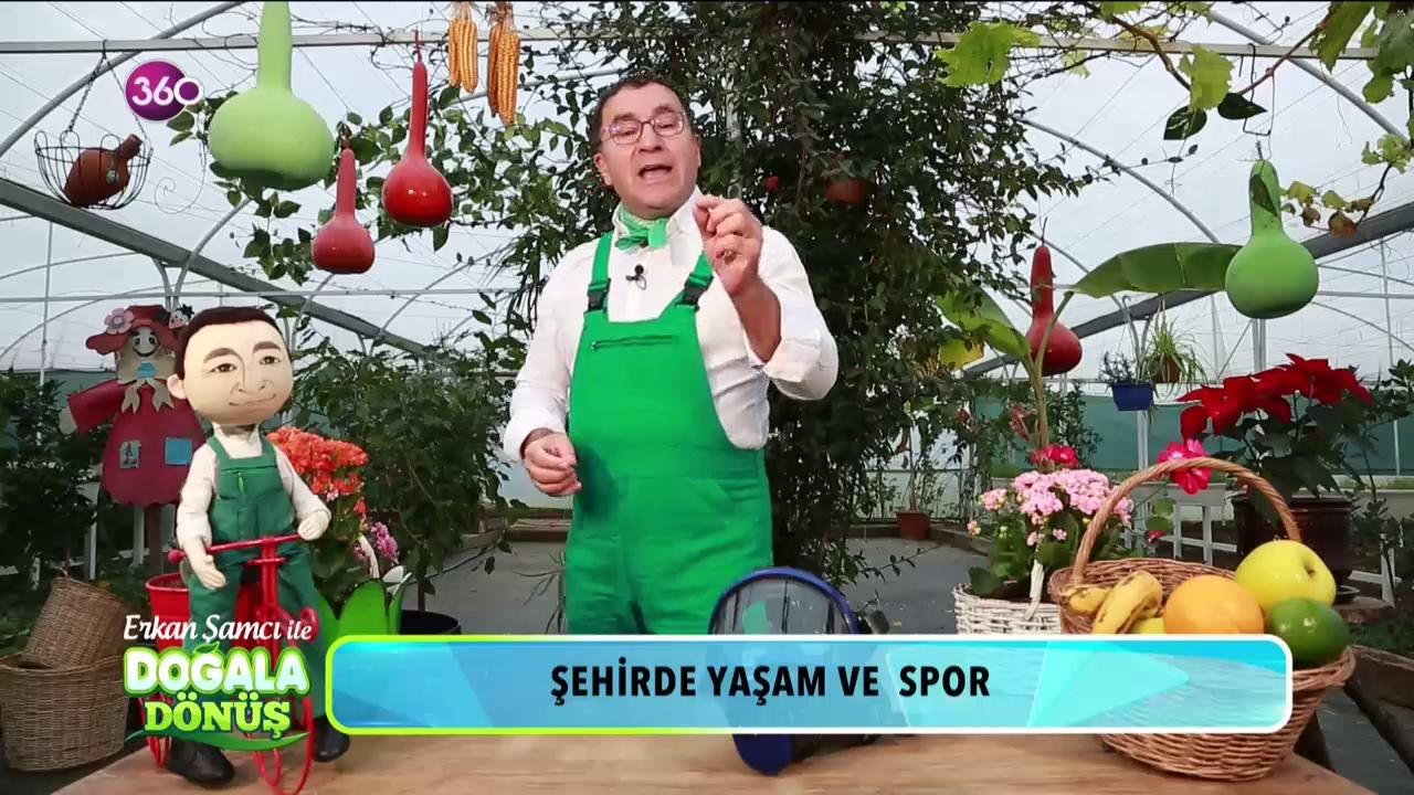 Doğala Dönüş