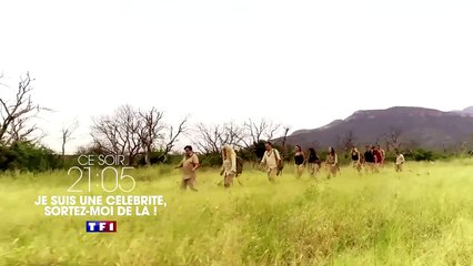 "Je suis une célébrité sortez-moi de là" revient sur TF1 dès ce soir à 21h05
