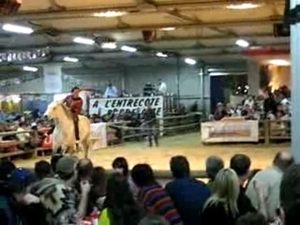 Bodegas Cheval passion Avignon