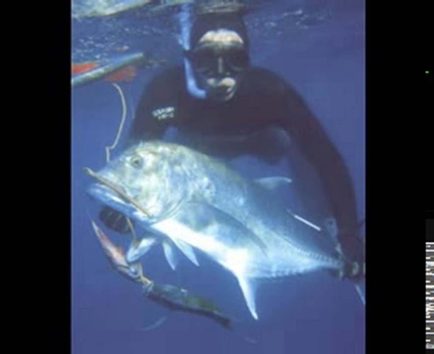 chasse sous marine île réunion