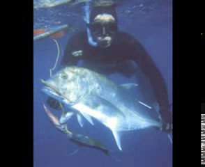 chasse sous marine île réunion