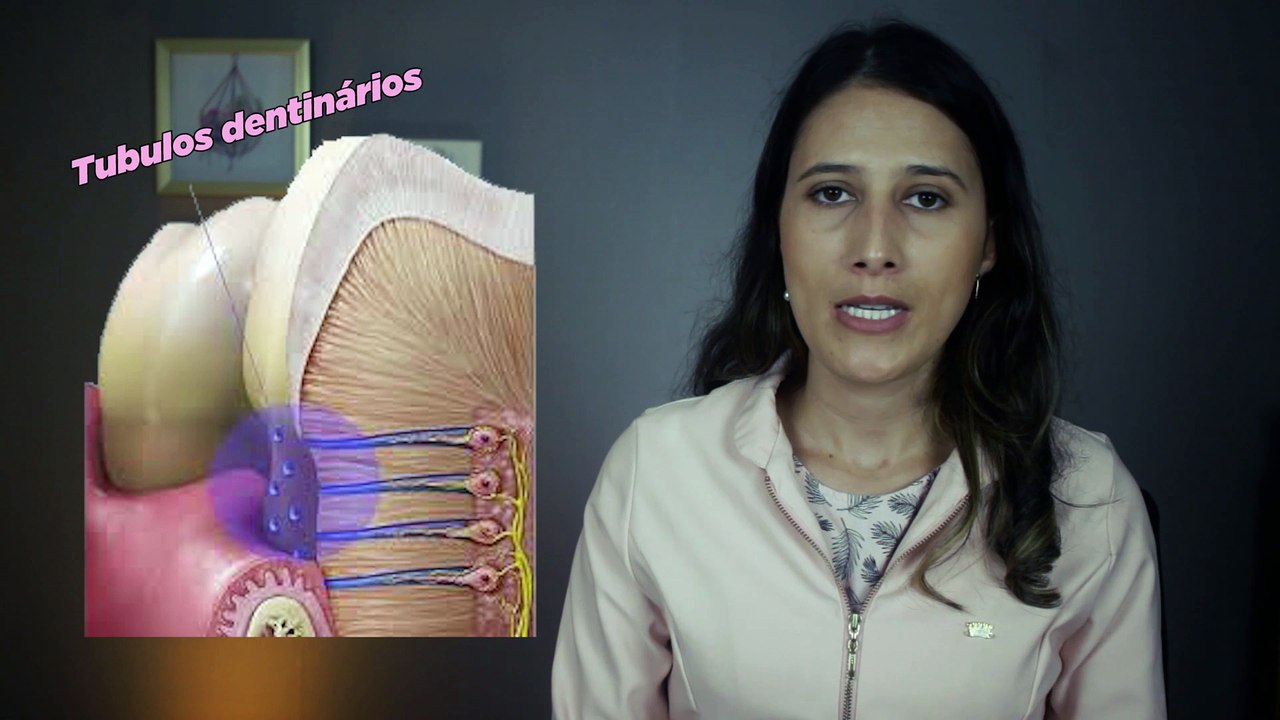 S01E02 dani versão 2