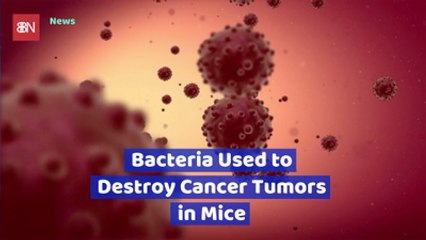 This Bacteria Killed A Cancer Tumor