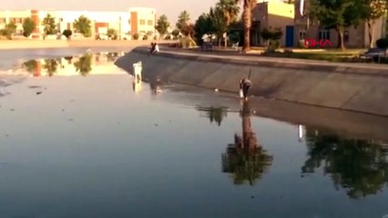 ŞANLIURFA Harran Üniversitesi'ndeki gölette yüzlerce balık telef oldu