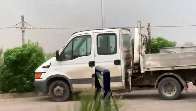 Tromba d'aria tropicale tra Andria e Trani, cadono alberi