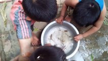 Win đi bắt cá, bắt cua cùng Long và Bảo ngoài mương nước (crabbing, fishing). Win - Bảo Nguyên!!!