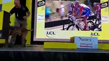 Tour de France : le chien "Détection explosif" passe au crible le podium de l'arrivée à Nancy