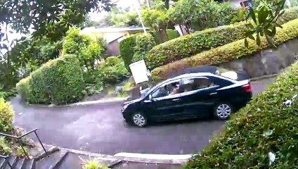 EDR July #9 2019Street Theater and Helicopter Noise