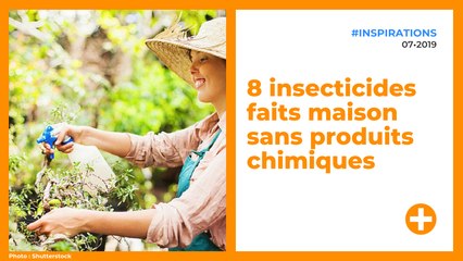 8 insecticides faits maison sans produits chimiques