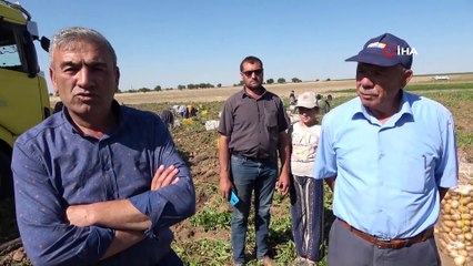 Niğde’de Turfanda Patates Hasadı Başladı