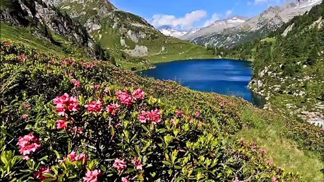 Trentino