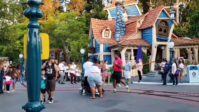 Disney Disneyland Brawl FIGHT With Family! WHERE WAS THE SECURITY???