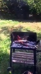 Elle brûle ses greffages, conformément au Ndigël de Serigne Mountakha