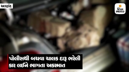 પોલીસથી બચવા દારૂ ભરેલી કાર લઇને ભાગ્યો ચાલક, ઘટના સ્થળે જ મોત