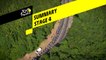 Summary - Stage 4 - Tour de France 2019