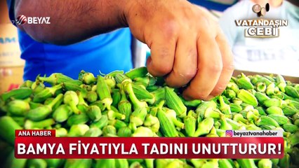 Bamya fiyatıyla cep yakıyor