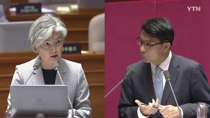 강경화 "日, 수출규제 이유 설명 안 해" / YTN