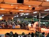 Bodega salon cheval passion Avignon