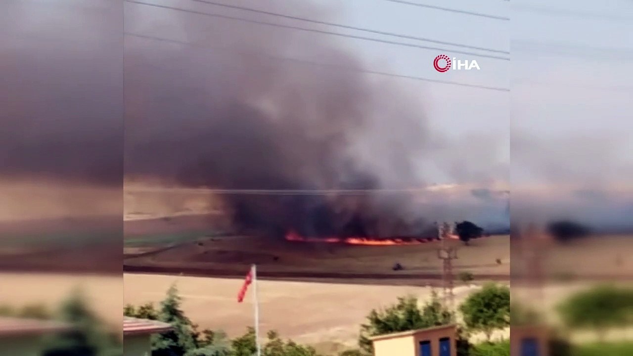 Çıkan yangın badem ağaçlarını kül etti, 200 dönüm arazi kül oldu