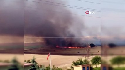 Çıkan yangın badem ağaçlarını kül etti, 200 dönüm arazi kül oldu