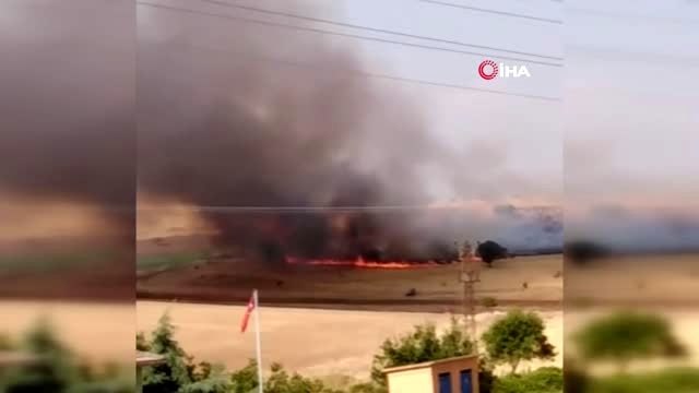 Çıkan yangın badem ağaçlarını kül etti, 200 dönüm arazi kül oldu