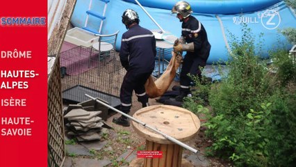 Zapping de l'Info du 9 Juillet 2019