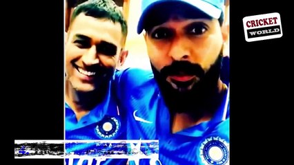 Most Funny Moments Of MS Dhoni  - Try not to Laugh Challenge!