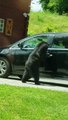 Un ours brun vient ouvrir la portière de voiture comme un homme
