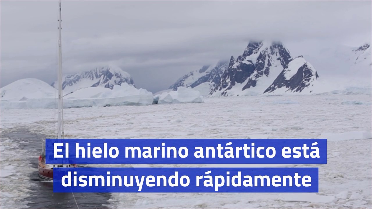 El hielo marino antártico está disminuyendo rápidamente