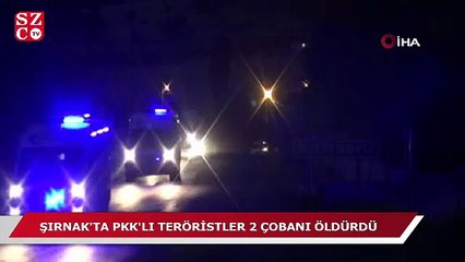 Şırnak'ta PKK'lı teröristler 2 çobanı öldürdü
