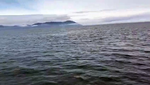 Une baleine fait un incroyable saut tout près d'un bateau de touristes