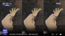 [투데이 영상] '제가 춤을 좀 춥니다~'