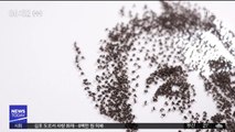 [투데이 영상] '개미'로 '앤트맨'을 그린다고?