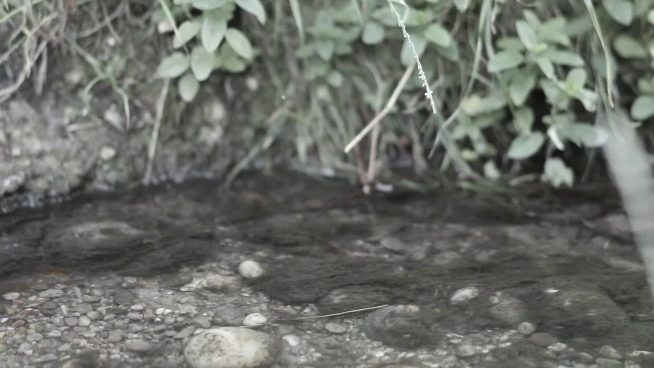 jede flasche kann Erleuchtung finden