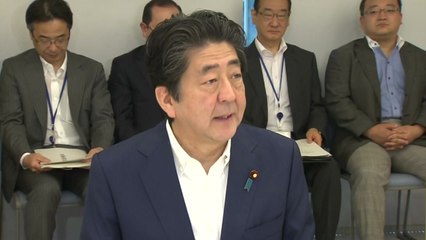 日, 혐한 부추기기...아베 여론몰이 통했나 / YTN