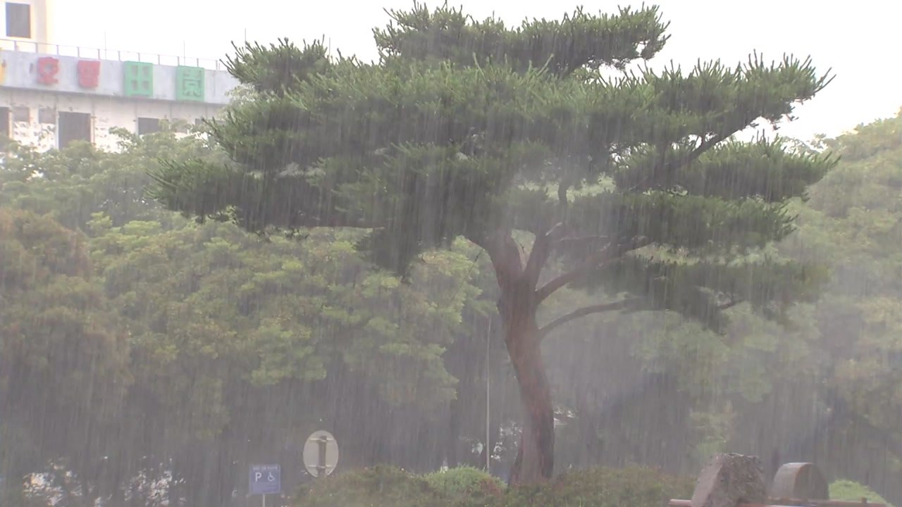 [날씨] 장마전선 북상, 제주도 강풍특보...영동 200mm 호우 / YTN