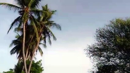 தம்பிக்கு கொலை மிரட்டல்.. தம்பி மனைவிக்கு ஒருமையில் திட்டு.. பா.ம.க. மாஜி எம்.எல்.ஏவால் பரபரப்பு! -வீடியோ