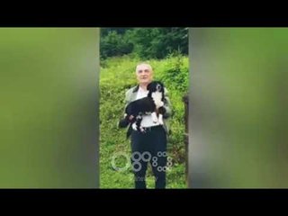 RTV Ora - "Macet nuk shkojnë me qentë, por nuk është ky rasti", Meta prezanton mikun e ri nga Bosnja
