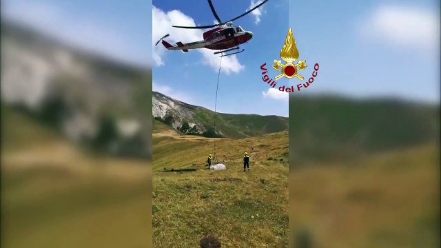 Leonessa (RI) - Mucca salvata sui monti dai Vigili del Fuoco (10.07.19)