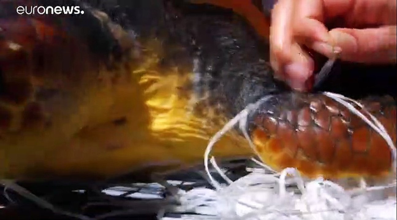 Das plastikproblem der mittelmeerküsten